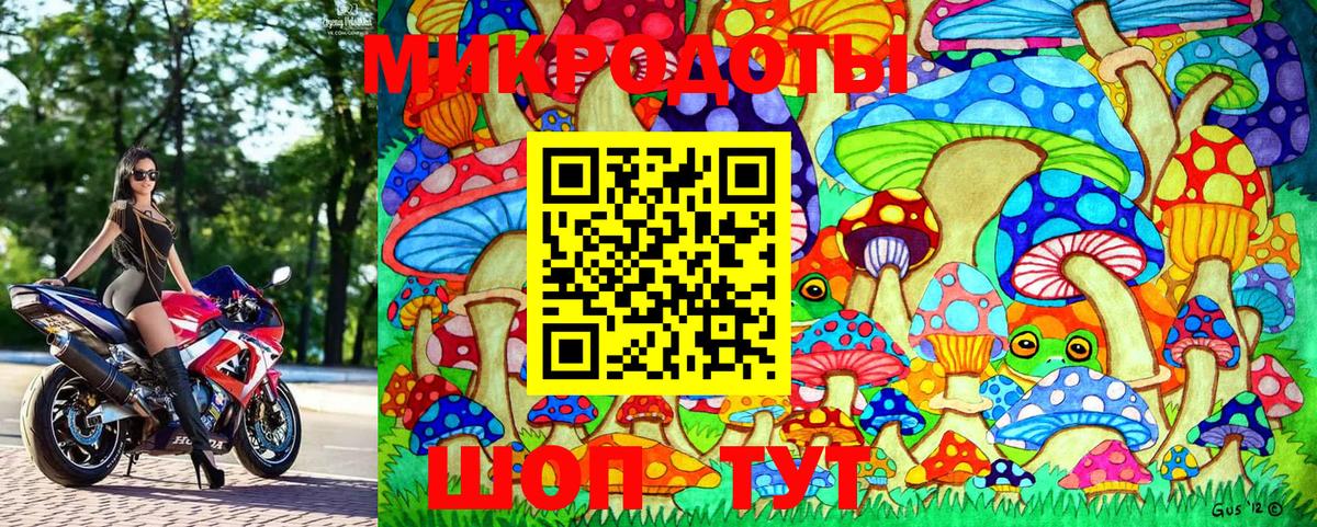 Псилоцибиновые грибы Psilocybine cubensis Будённовск